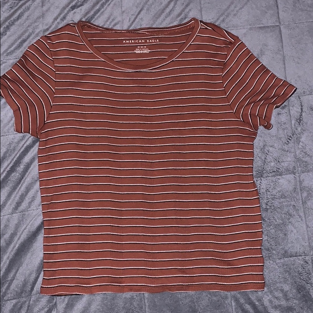 American Eagle Crop Top